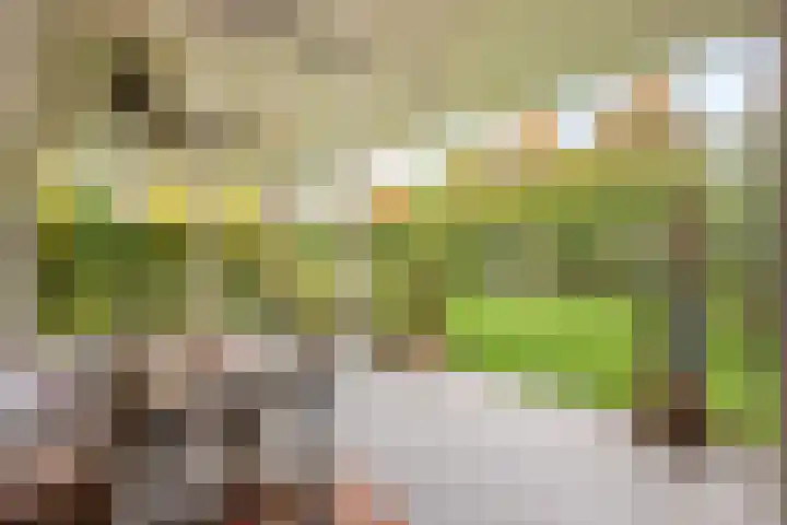 Reehorst 13 Luttenberg thumbnail 23
