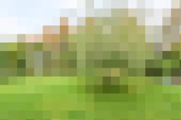 Reehorst 13 Luttenberg thumbnail 24
