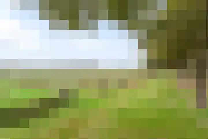 Reehorst 13 Luttenberg thumbnail 25