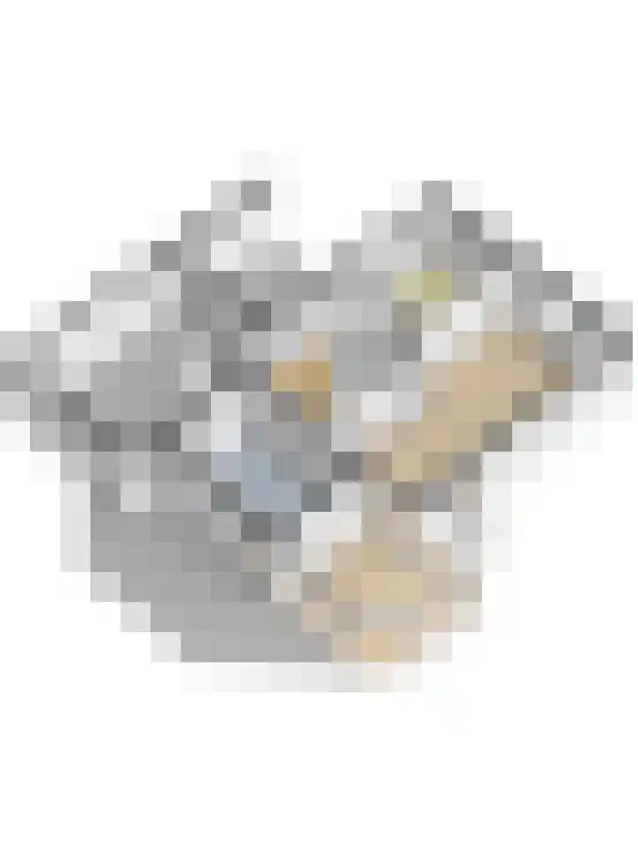 Reehorst 13 Luttenberg thumbnail 27