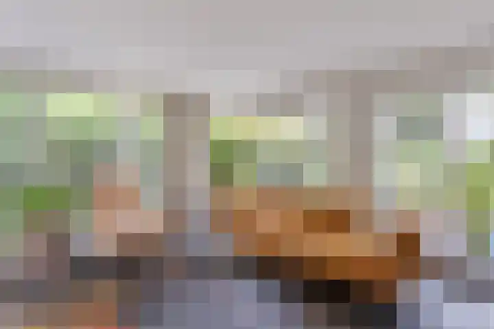 Reehorst 13 Luttenberg thumbnail 7