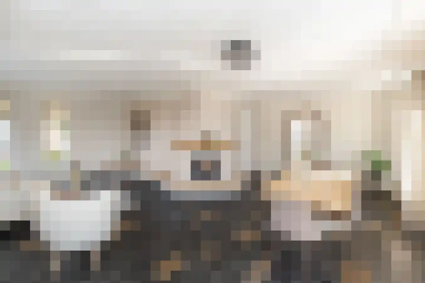 Reehorst 20 Luttenberg thumbnail 10