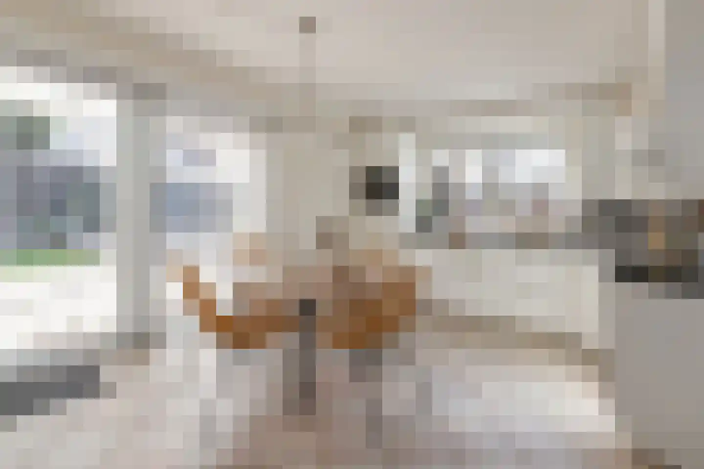 Reehorst 20 Luttenberg thumbnail 14