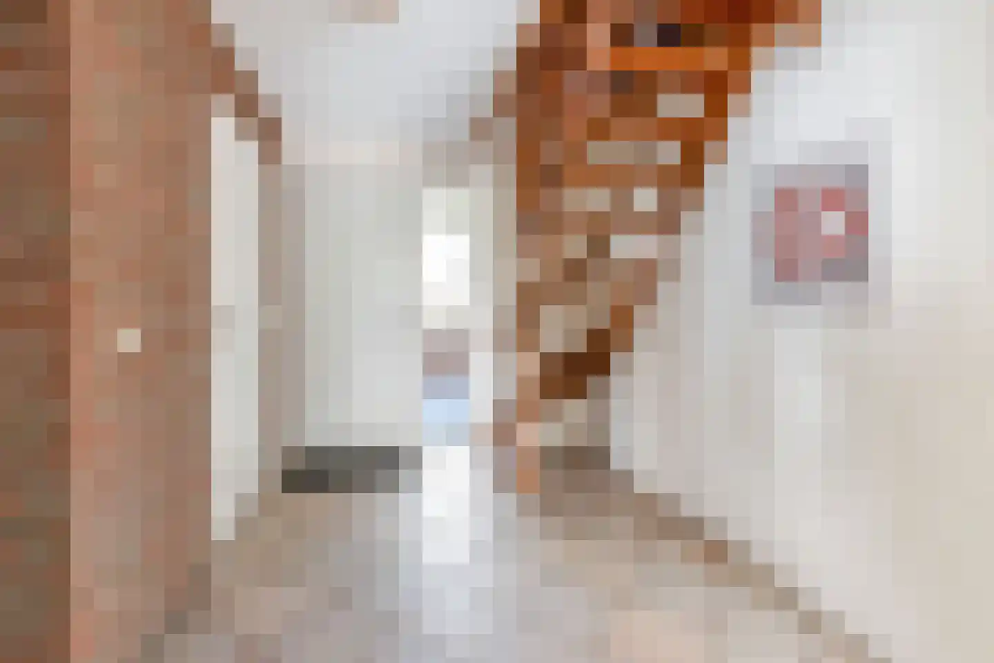 Reehorst 20 Luttenberg thumbnail 21