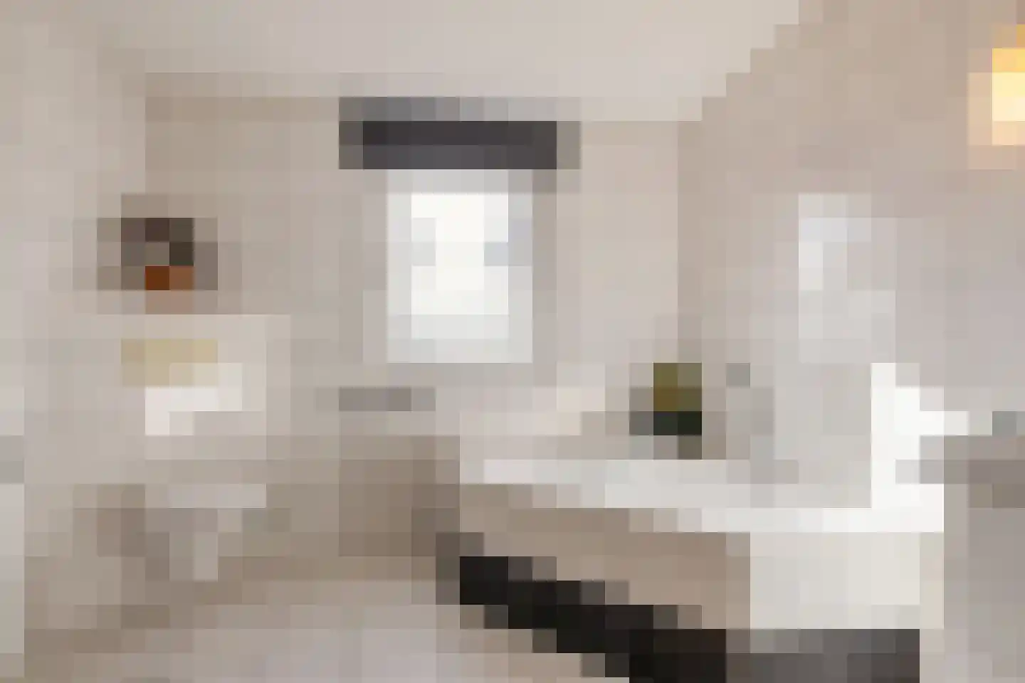 Reehorst 20 Luttenberg thumbnail 23