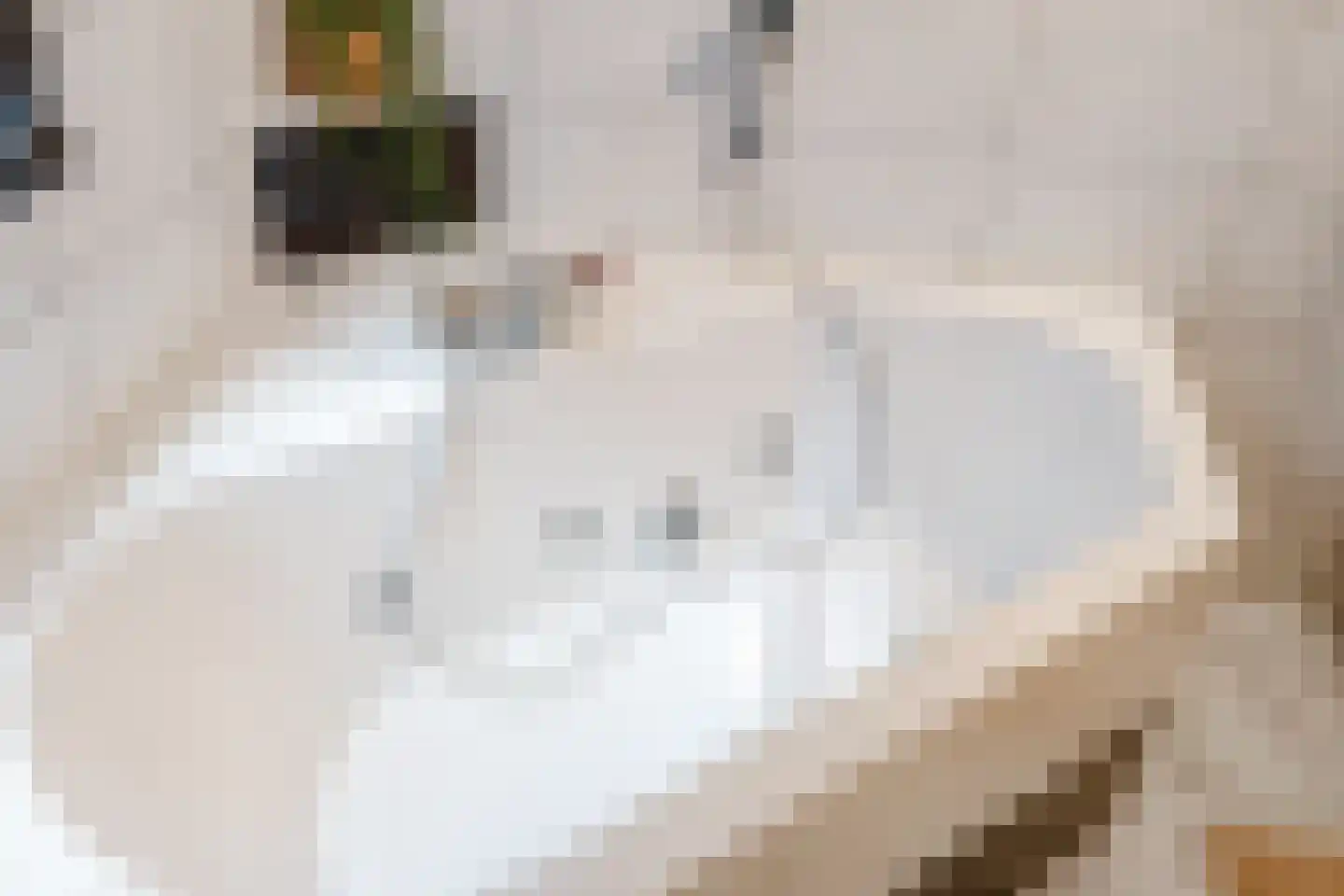 Reehorst 20 Luttenberg thumbnail 24