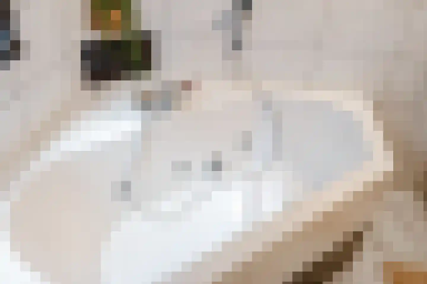 Reehorst 20 Luttenberg thumbnail 24