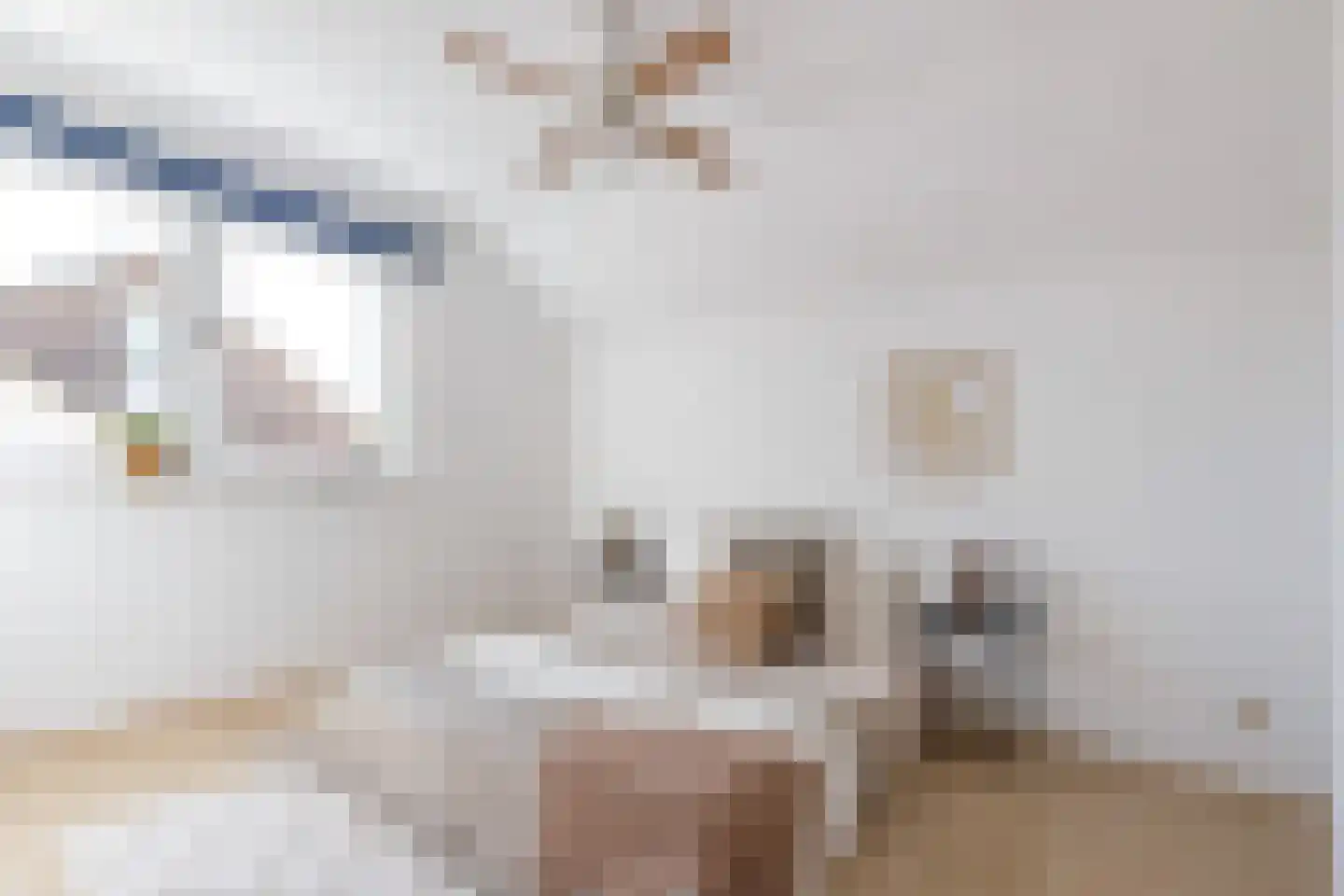 Reehorst 20 Luttenberg thumbnail 28