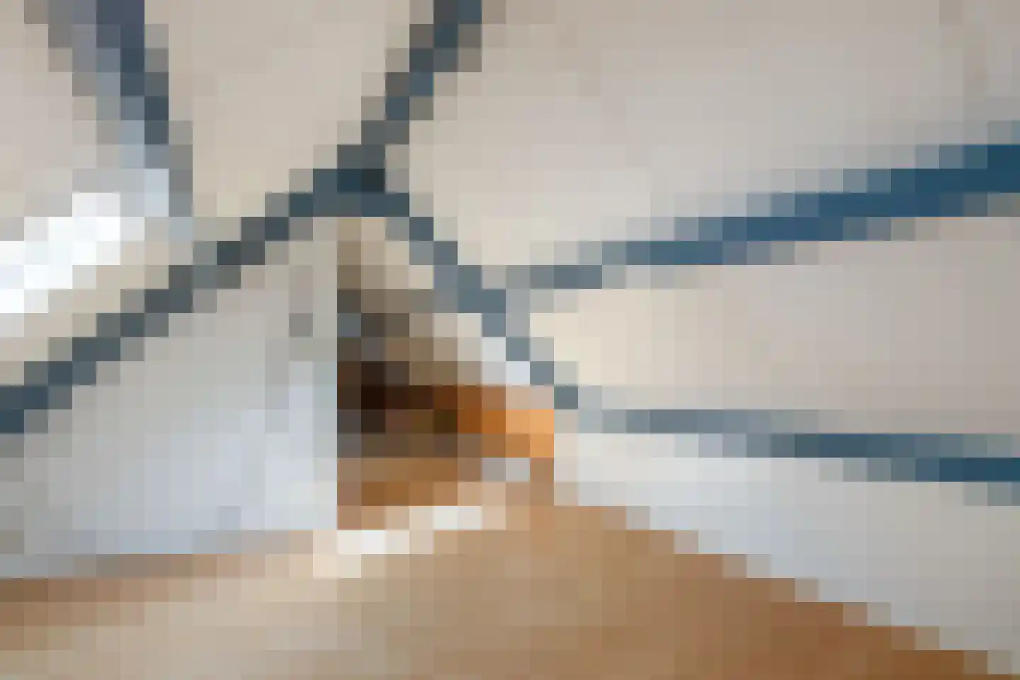 Reehorst 20 Luttenberg thumbnail 33