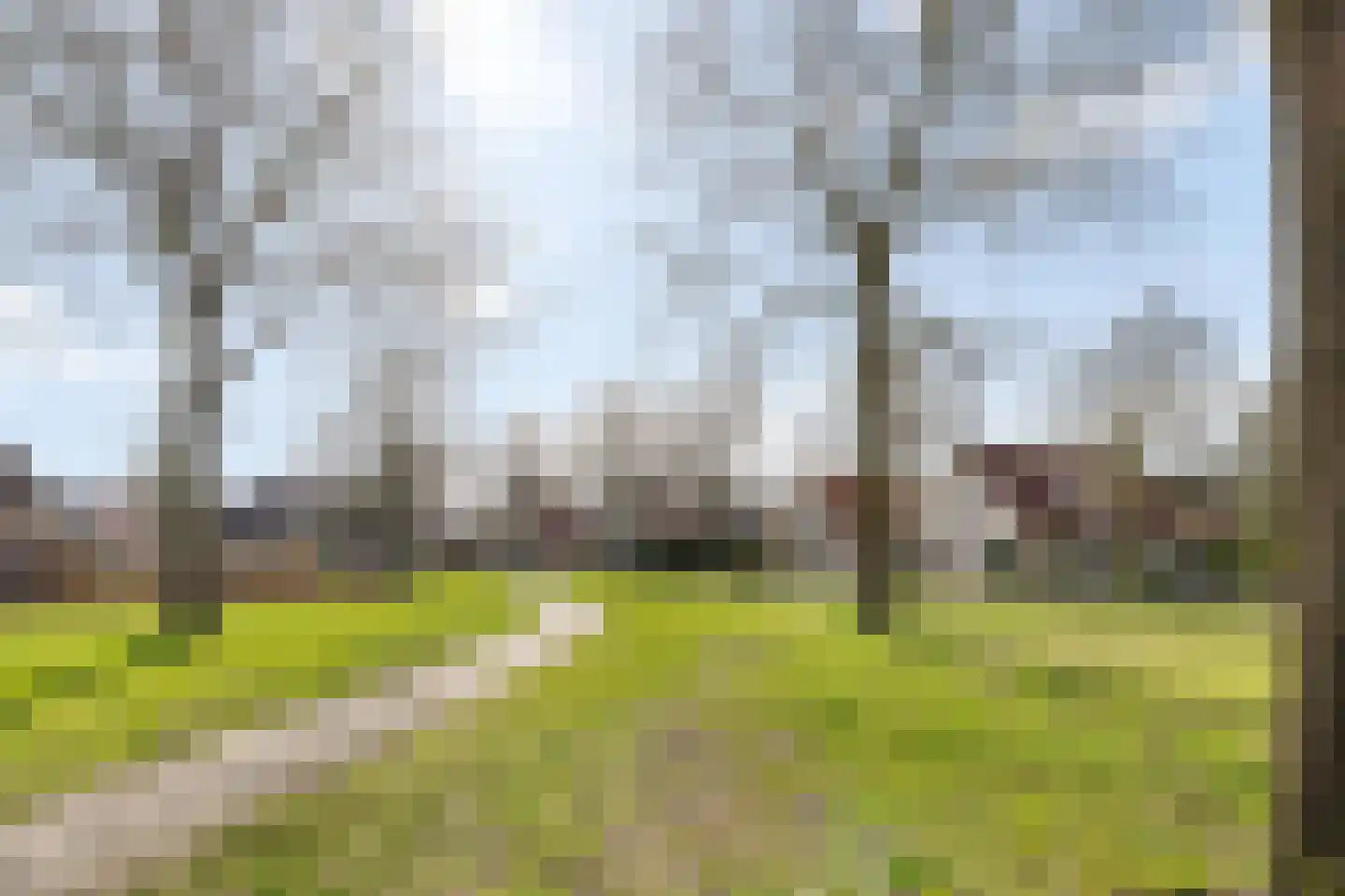 Reehorst 20 Luttenberg thumbnail 47