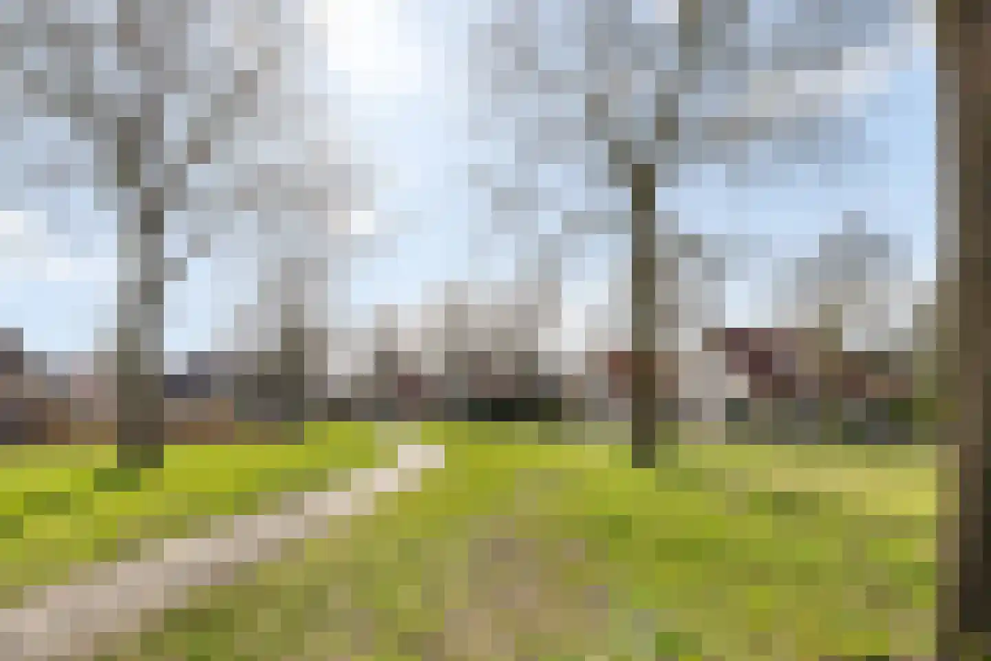 Reehorst 20 Luttenberg thumbnail 47