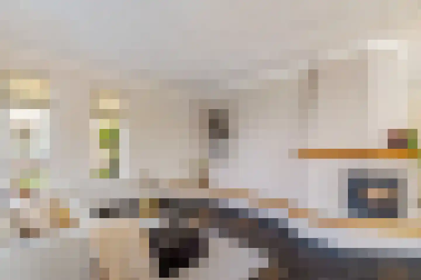 Reehorst 20 Luttenberg thumbnail 8