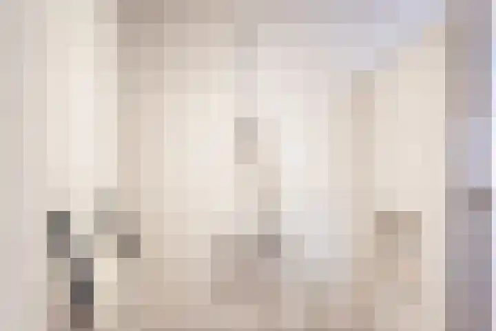 Reehorsterlaan 3 Dinxperlo thumbnail 28