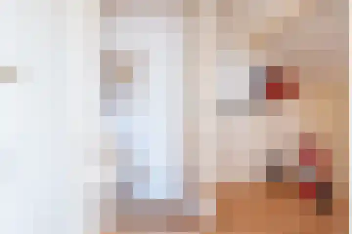Reehorsterlaan 3 Dinxperlo thumbnail 35