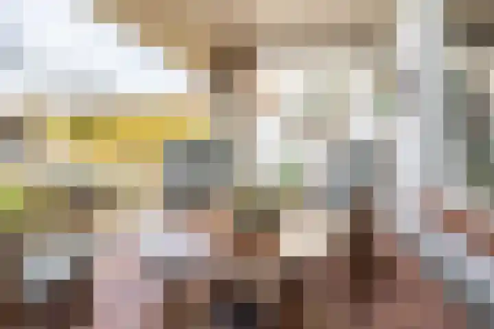 Reehorsterlaan 3 Dinxperlo thumbnail 36