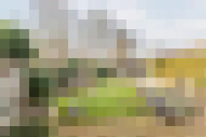 Reehorsterlaan 3 Dinxperlo thumbnail 37