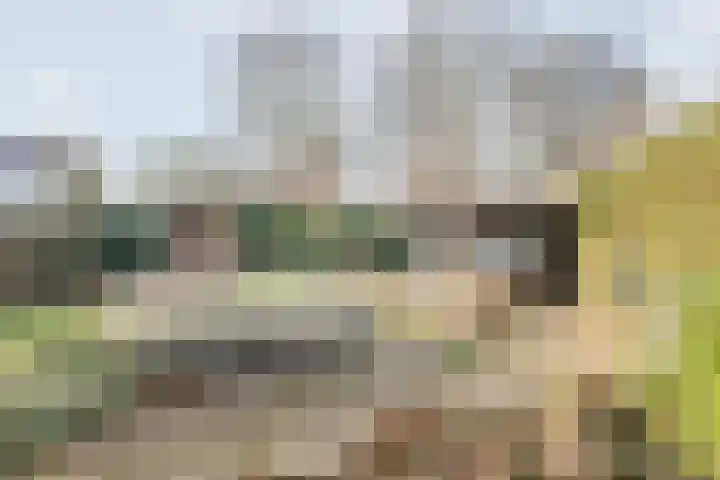 Reehorsterlaan 3 Dinxperlo thumbnail 38