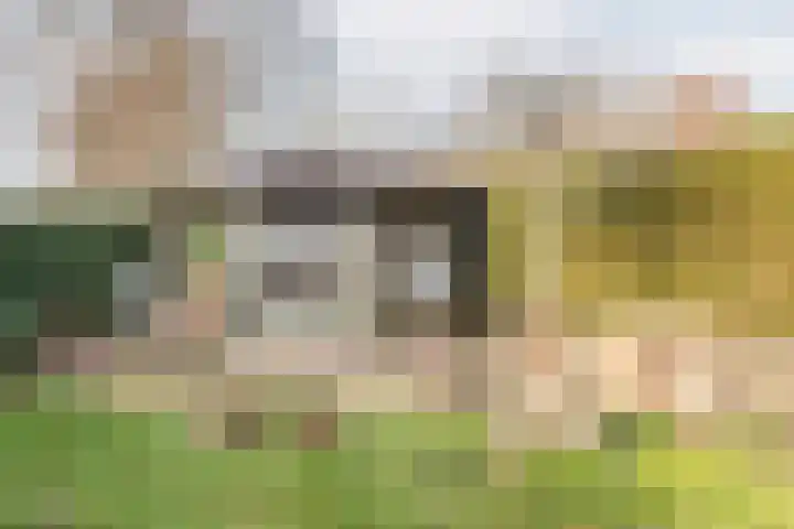Reehorsterlaan 3 Dinxperlo thumbnail 39