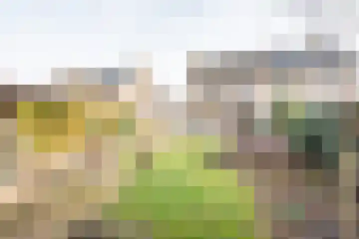 Reehorsterlaan 3 Dinxperlo thumbnail 4