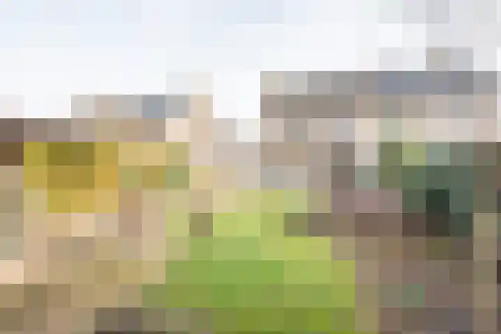 Reehorsterlaan 3 Dinxperlo thumbnail 40