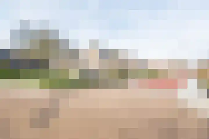 Reehorsterlaan 3 Dinxperlo thumbnail 45