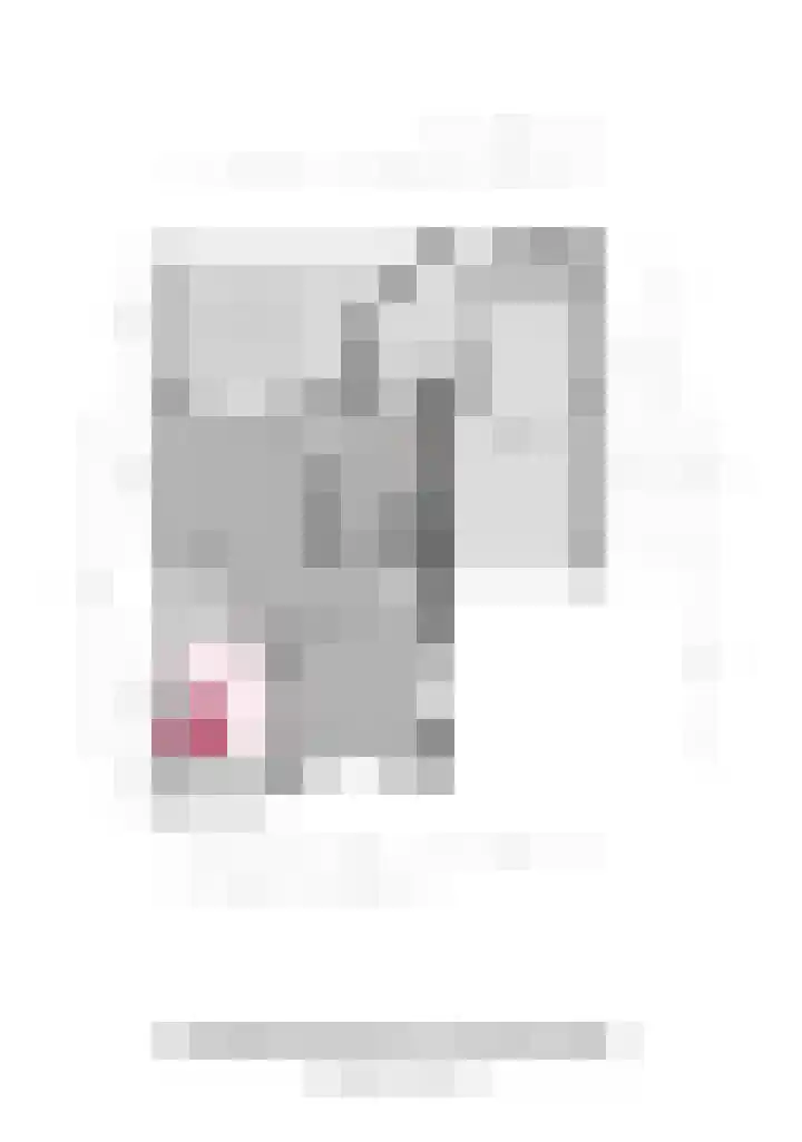 Reehorsterlaan 3 Dinxperlo thumbnail 48