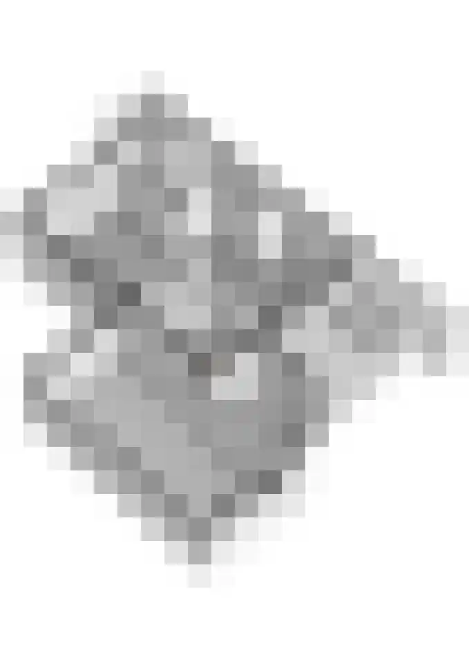 Reehorsterlaan 3 Dinxperlo thumbnail 52