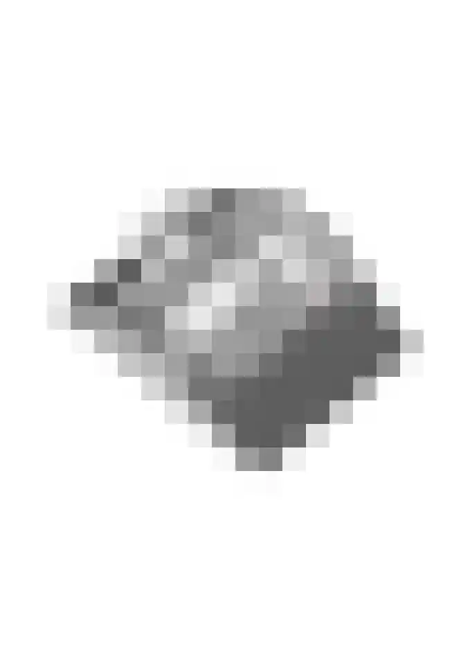 Reehorsterlaan 3 Dinxperlo thumbnail 54