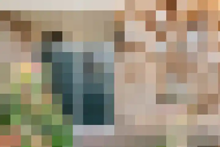 Reehorsterlaan 3 Dinxperlo thumbnail 6