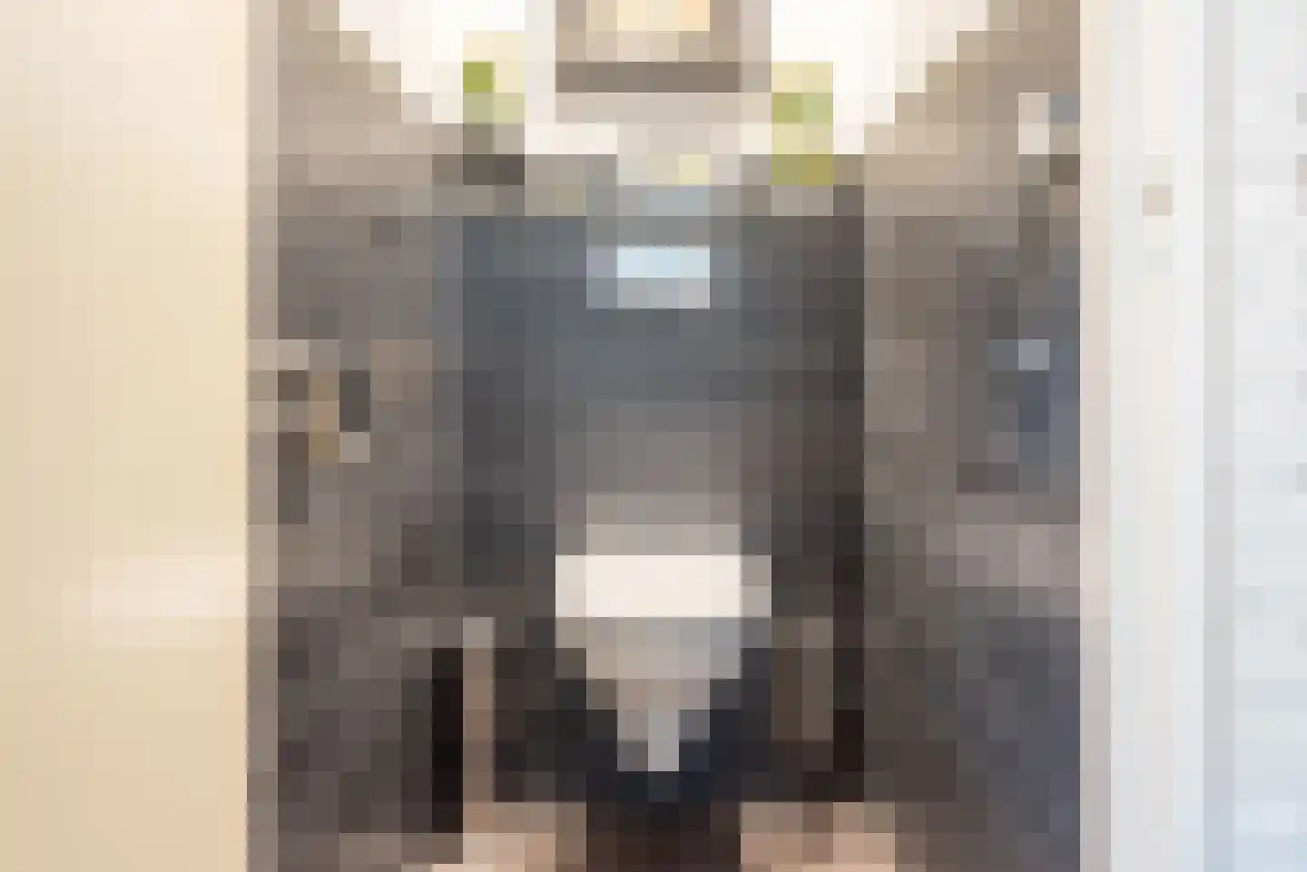 Reehorsterlaan 31 Dinxperlo thumbnail 12