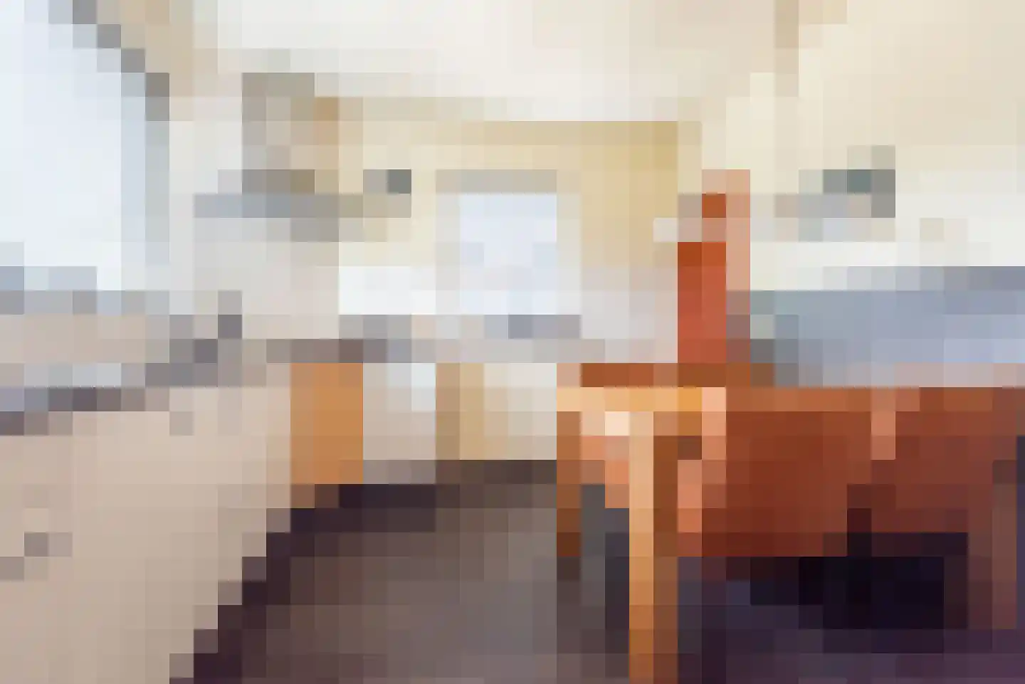 Reehorsterlaan 31 Dinxperlo thumbnail 18