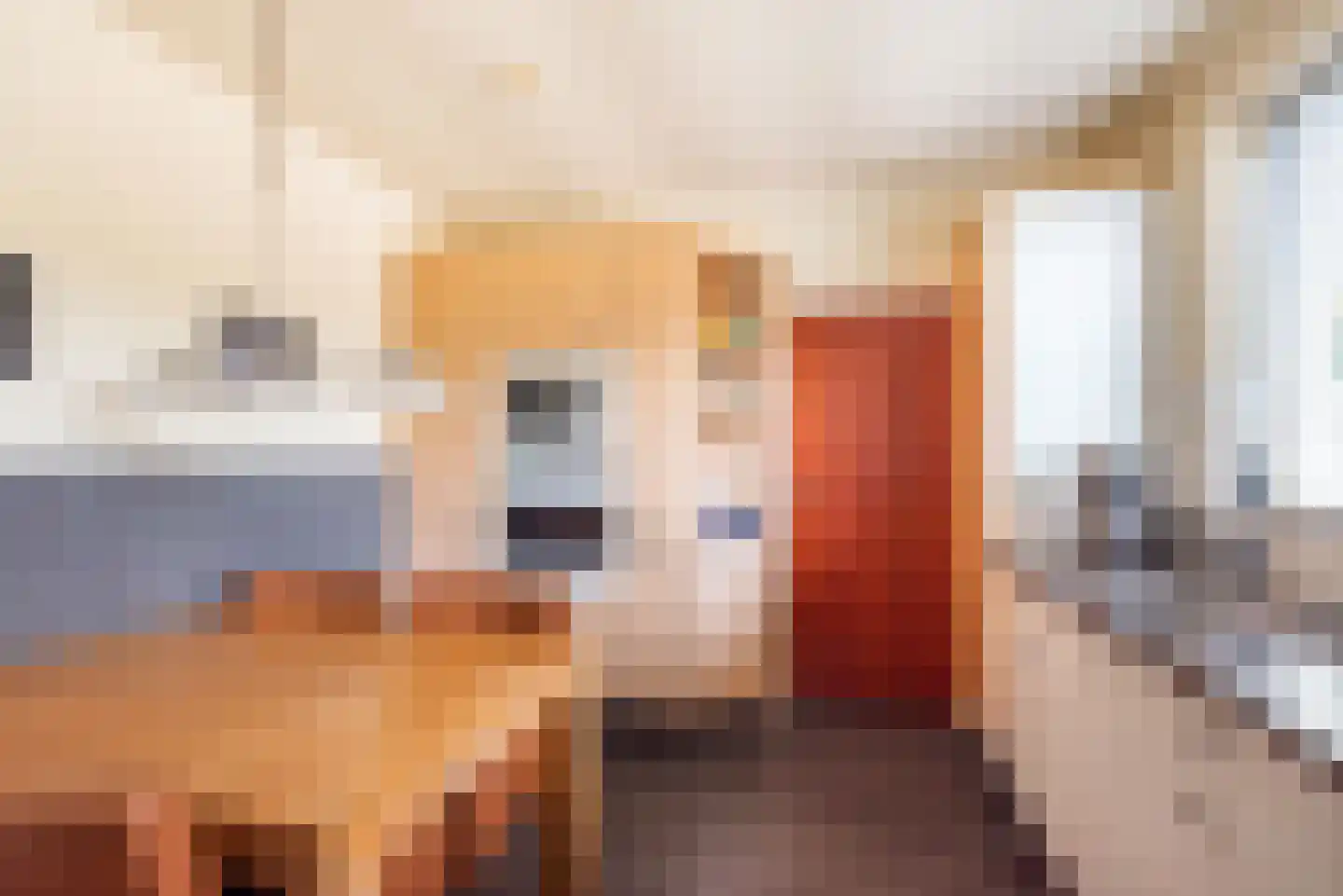 Reehorsterlaan 31 Dinxperlo thumbnail 21