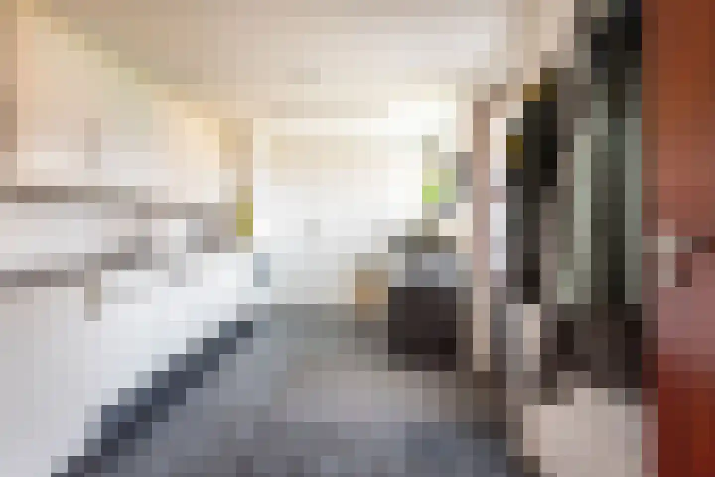 Reehorsterlaan 31 Dinxperlo thumbnail 22