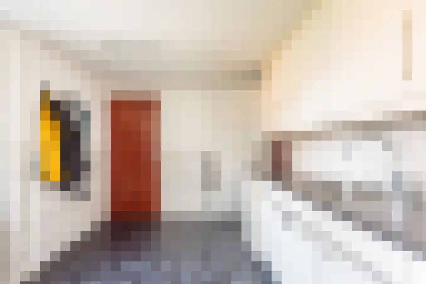 Reehorsterlaan 31 Dinxperlo thumbnail 23