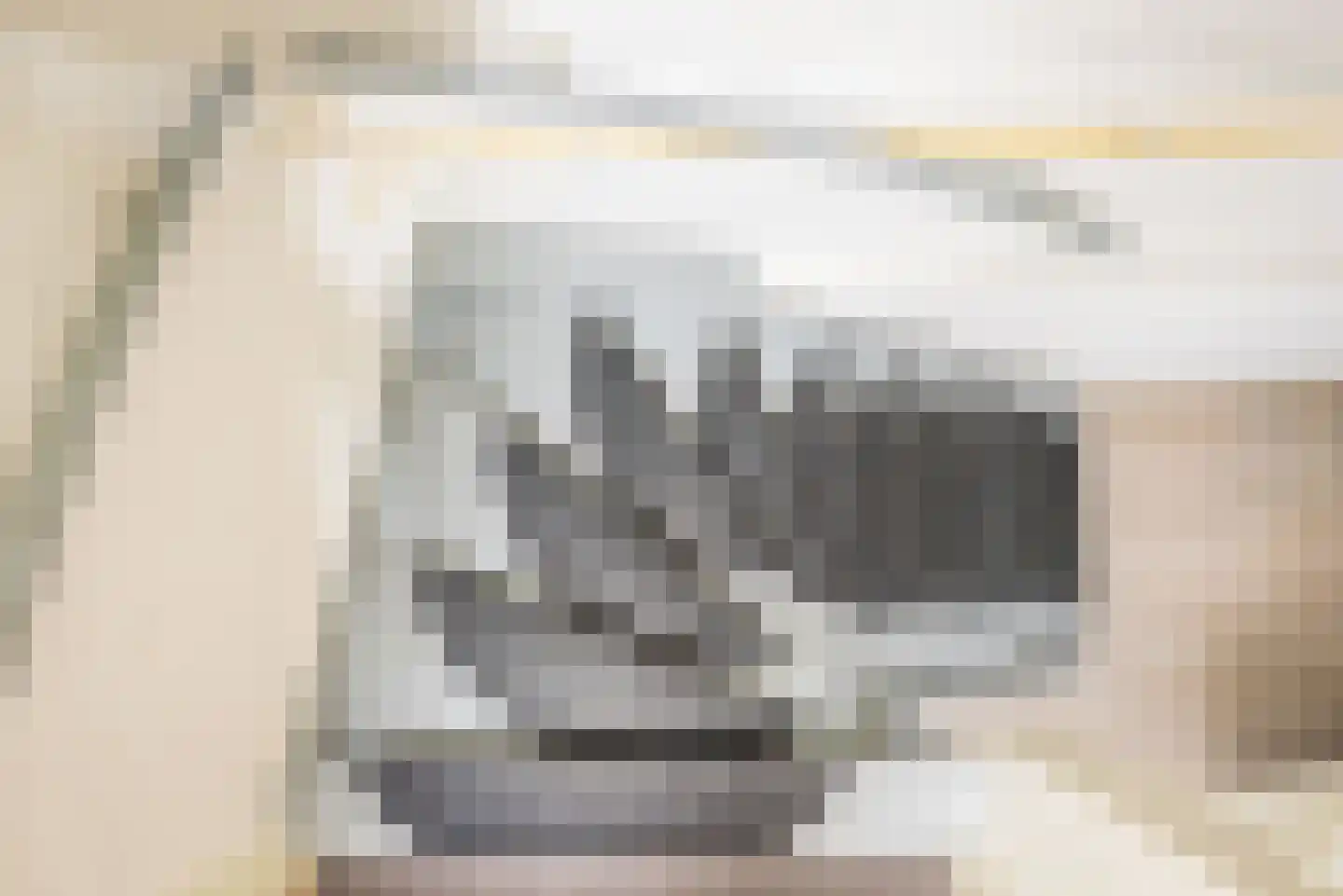 Reehorsterlaan 31 Dinxperlo thumbnail 25
