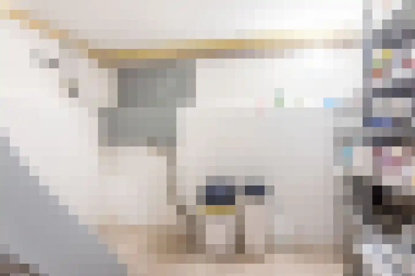 Reehorsterlaan 31 Dinxperlo thumbnail 26