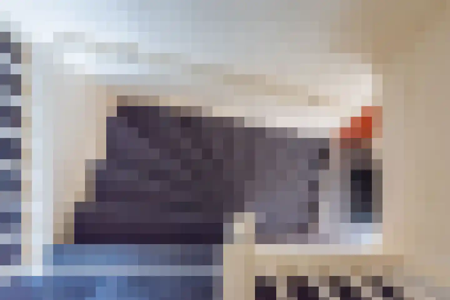 Reehorsterlaan 31 Dinxperlo thumbnail 28