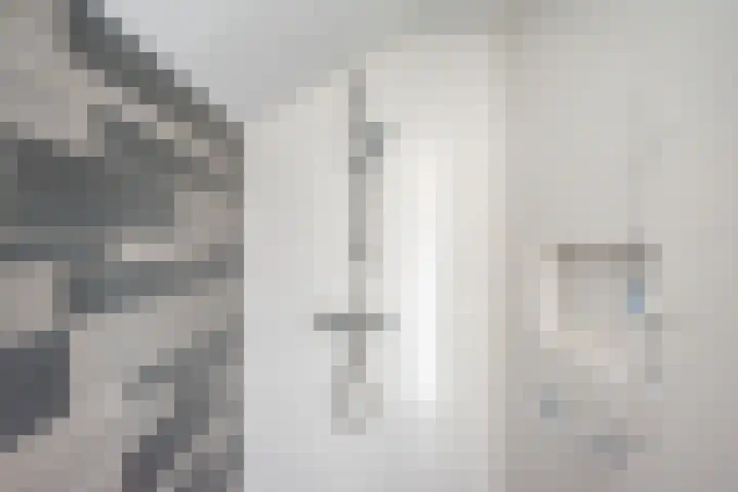 Reehorsterlaan 31 Dinxperlo thumbnail 38