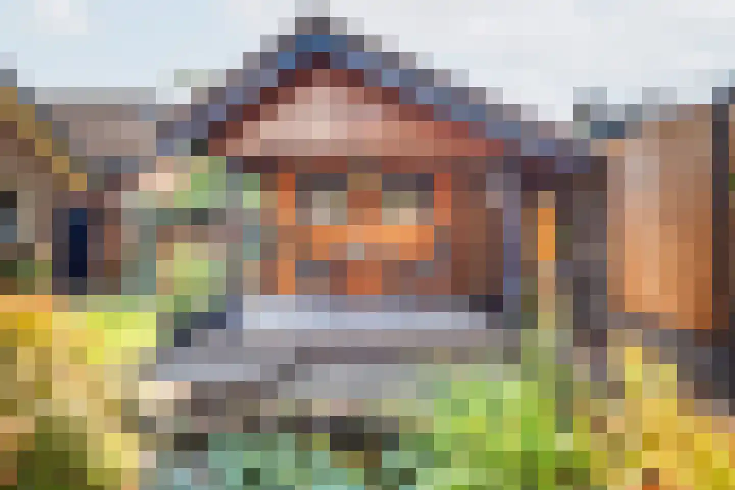 Reehorsterlaan 31 Dinxperlo thumbnail 44