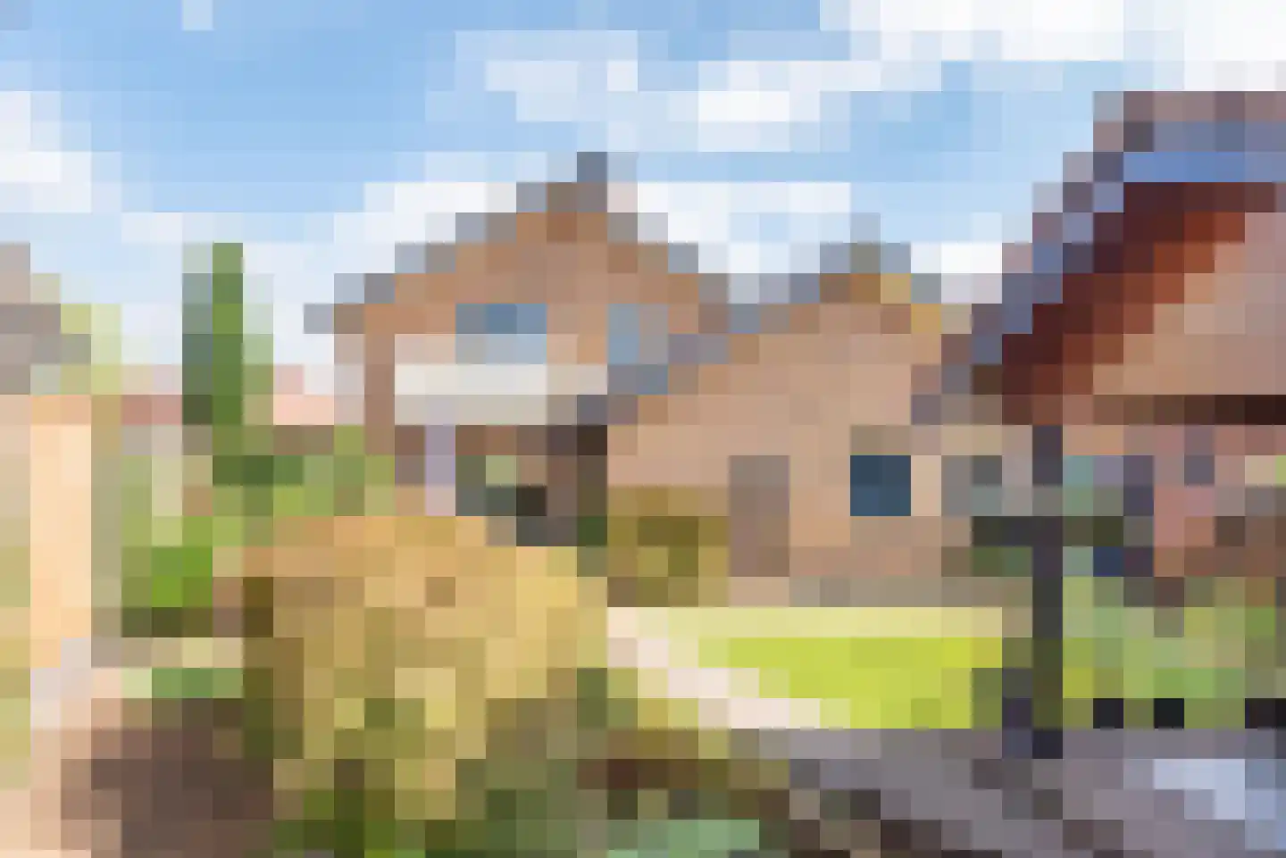 Reehorsterlaan 31 Dinxperlo thumbnail 47