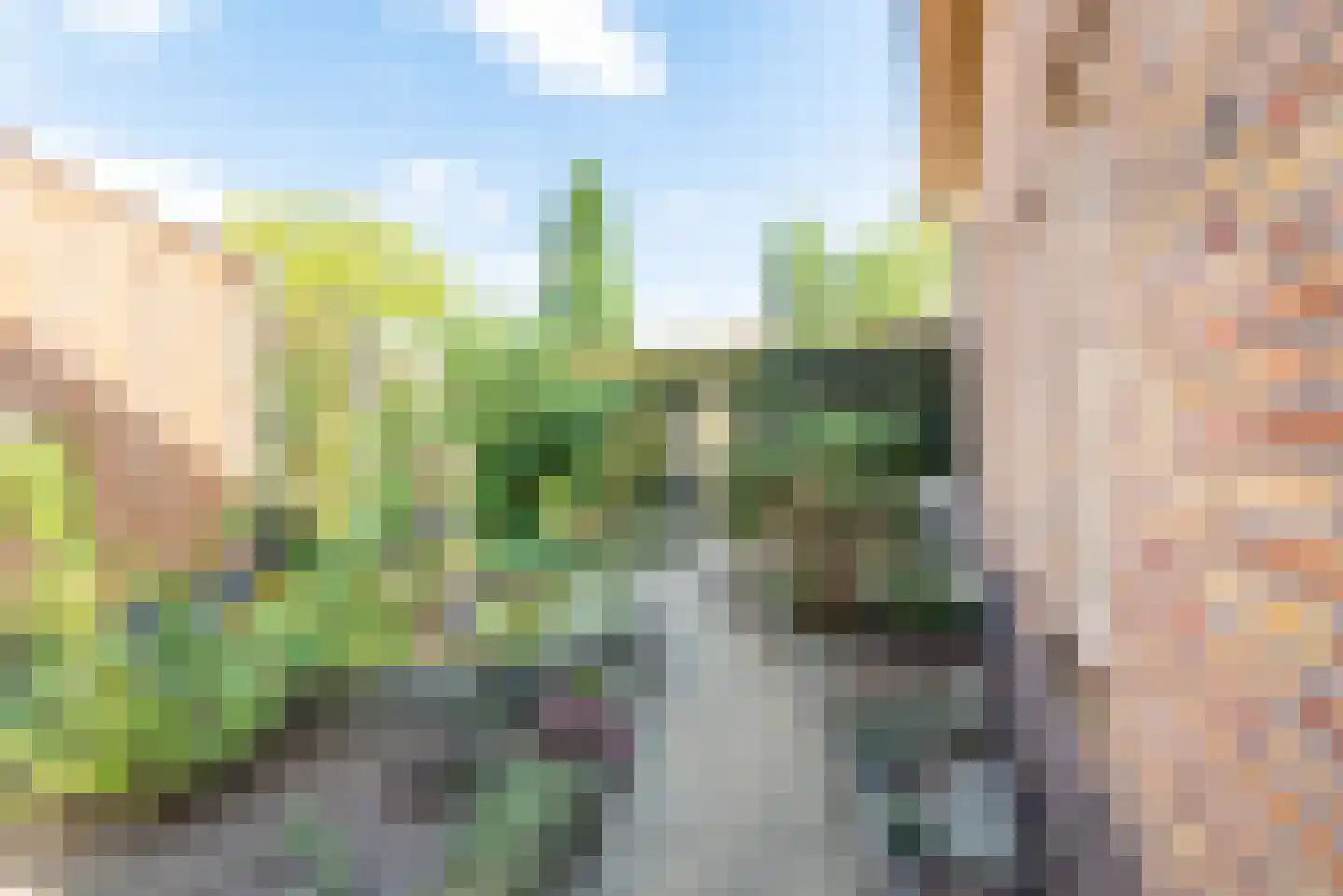 Reehorsterlaan 31 Dinxperlo thumbnail 49