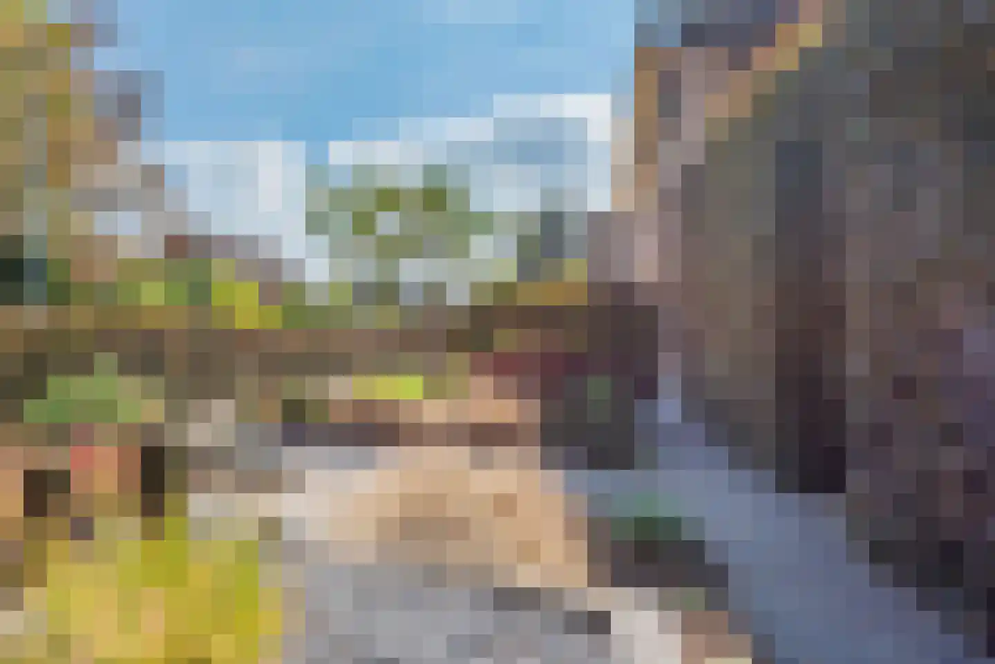 Reehorsterlaan 31 Dinxperlo thumbnail 50
