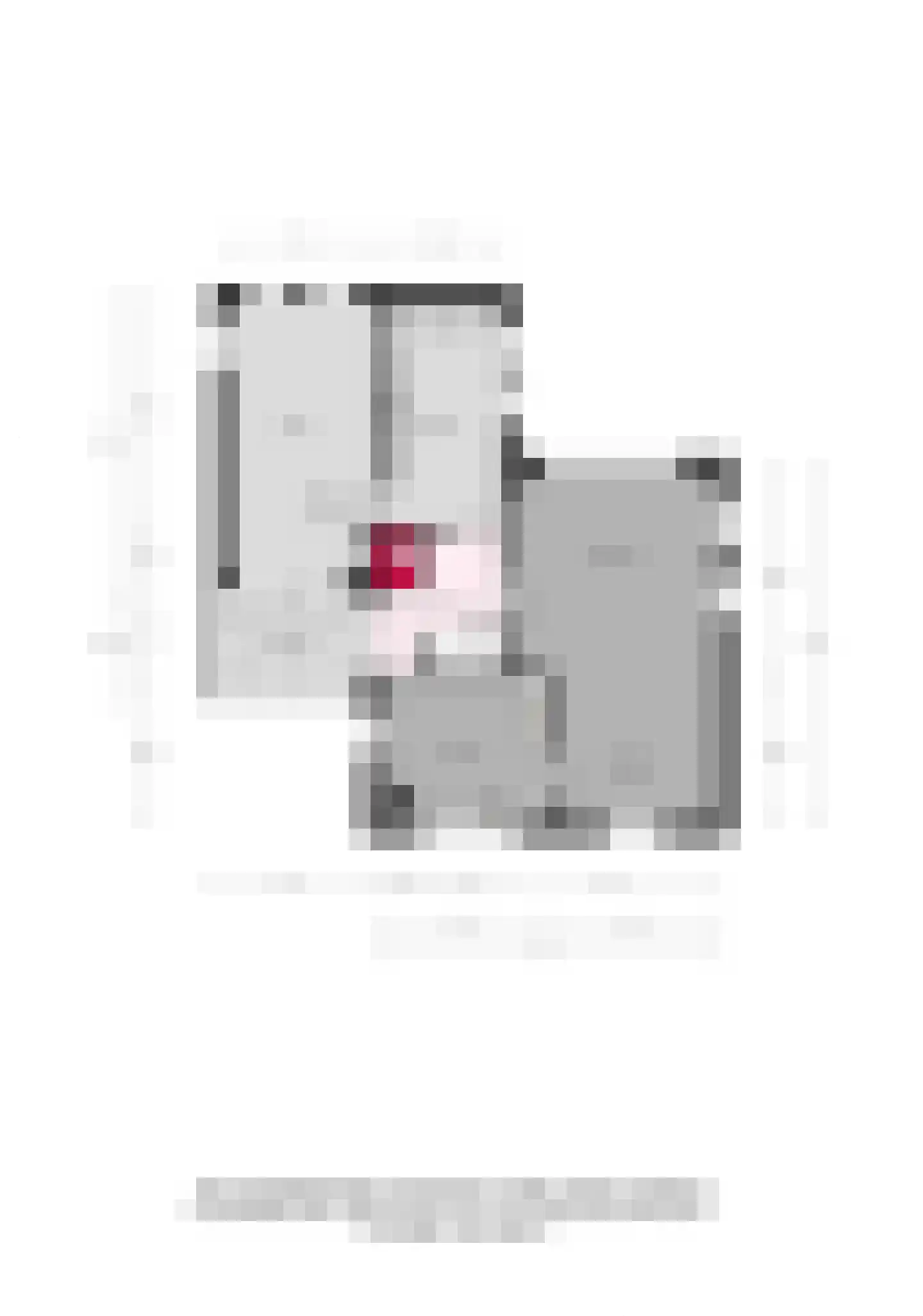 Reehorsterlaan 31 Dinxperlo thumbnail 56