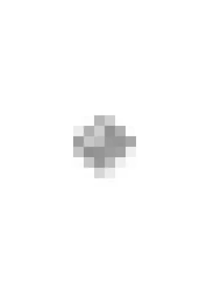 Reehorsterlaan 31 Dinxperlo thumbnail 60