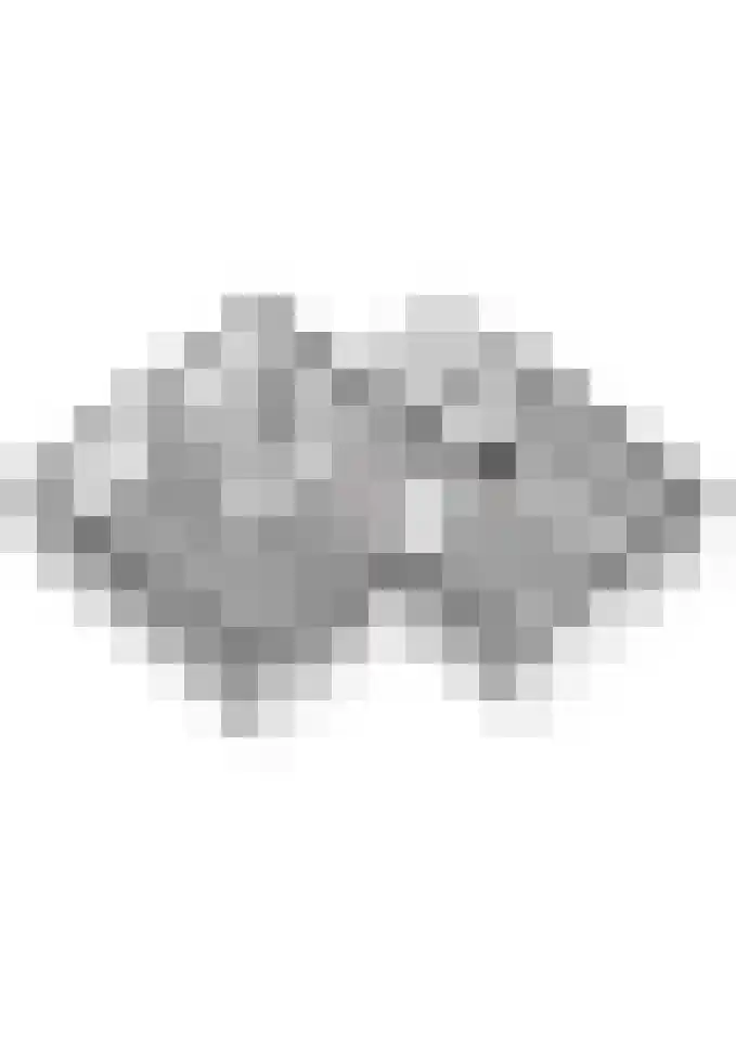 Reehorsterlaan 31 Dinxperlo thumbnail 61