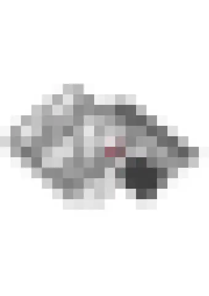 Reehorsterlaan 31 Dinxperlo thumbnail 62