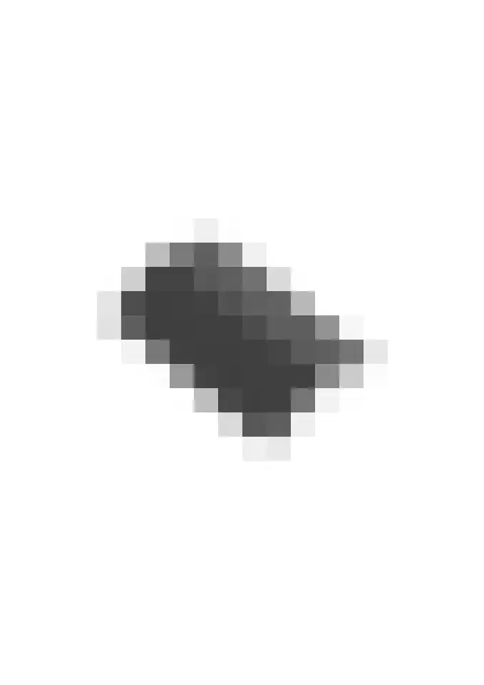 Reehorsterlaan 31 Dinxperlo thumbnail 63