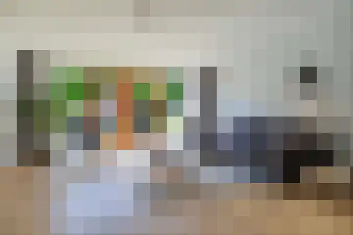 Reehorsterweg 21 B Ede thumbnail 11