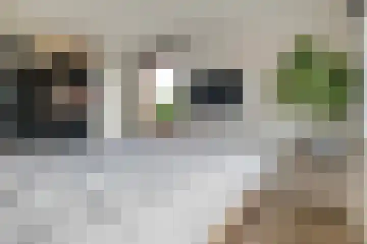 Reehorsterweg 21 B Ede thumbnail 22