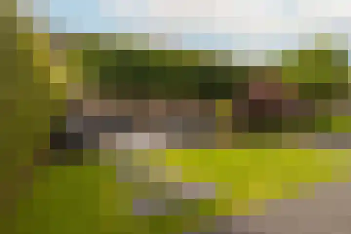 Reehorsterweg 21 B Ede thumbnail 4
